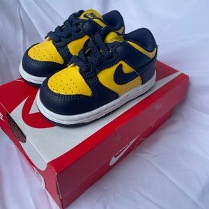 Nike Dunk NWT (infant/toddler 4c)